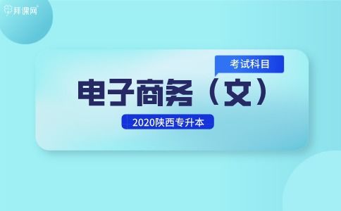 专业电子商务好升本吗