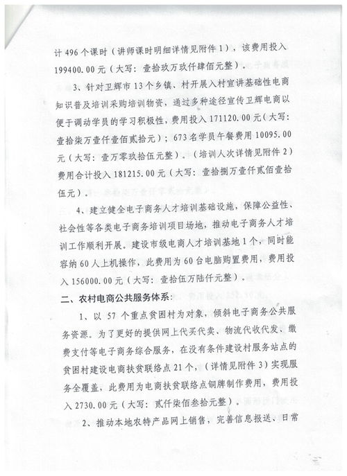 电子商务专业村申请表